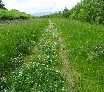 高市政権の「高圧経済」は何をもたらすか。