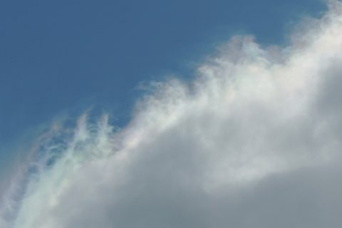 真夏の「宴」は続く。