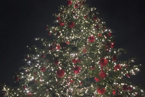 「12月相場」の焦点は何か。