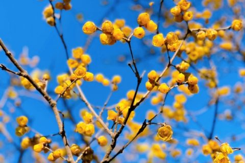 「利益確定」と外的リスク懸念について。