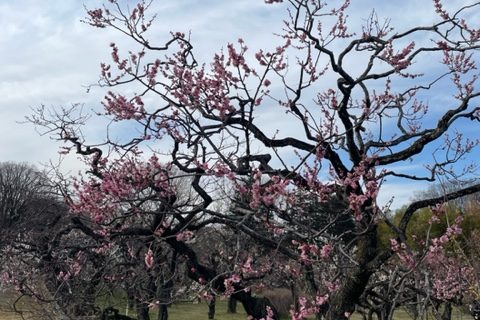 「ジェットコースター」相場は続く。