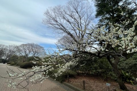 中盤戦以降の「風」はどちらに吹くのか。