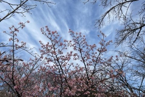 「ジェットコースター」のような相場。